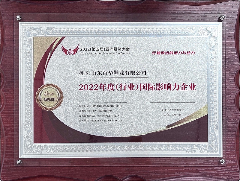 圖：山東百華鞋業有限公司被授予2022年度（行業）國際影響力企業